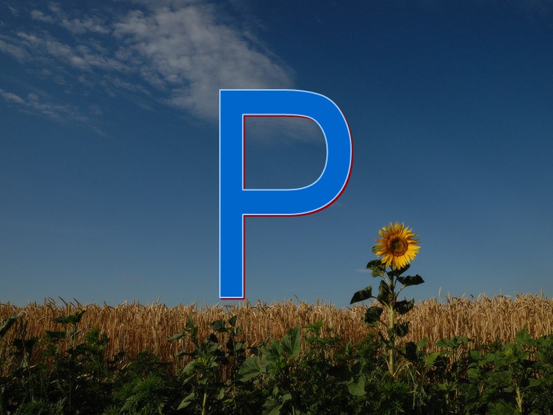 P